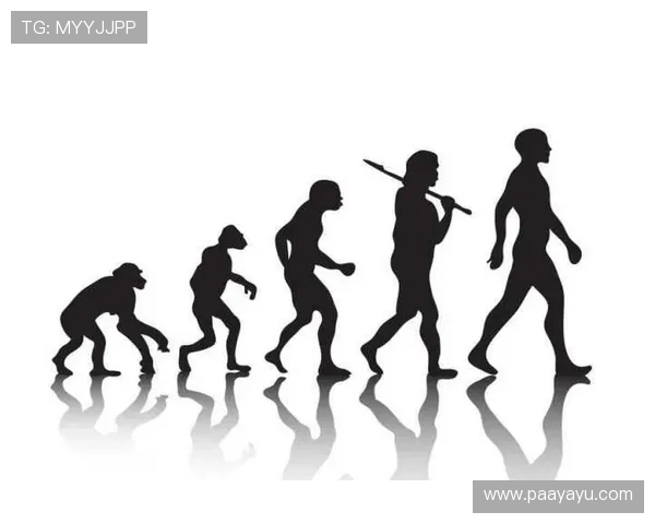 多宝视讯是哪个国家的企业,探究其起源和发展历史