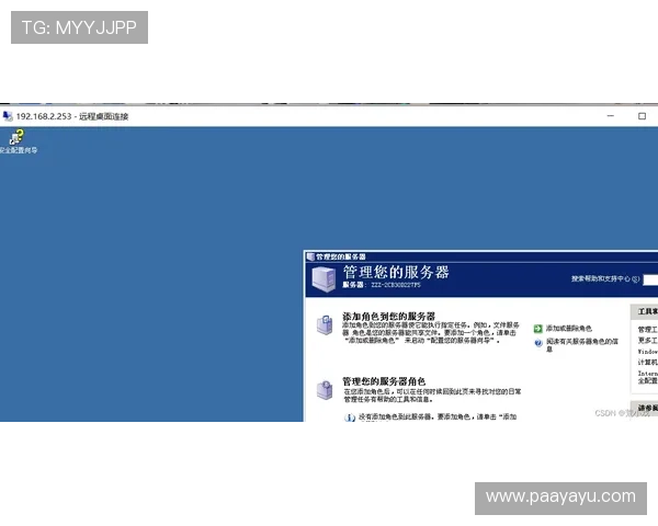 真人电子mg网站登录流程详解，确保账号安全与游戏体验顺畅无忧